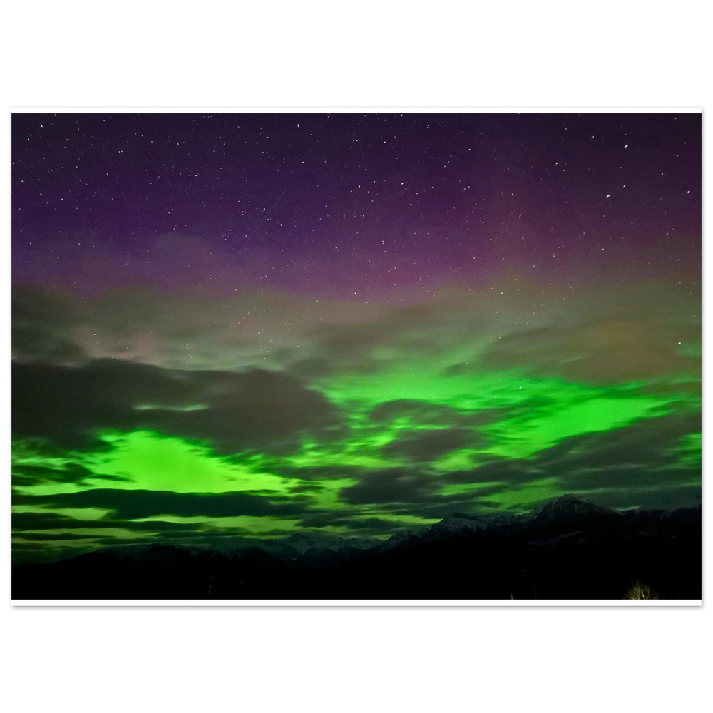 6053626f-fa37-4b31-8306-259eed5c85c6