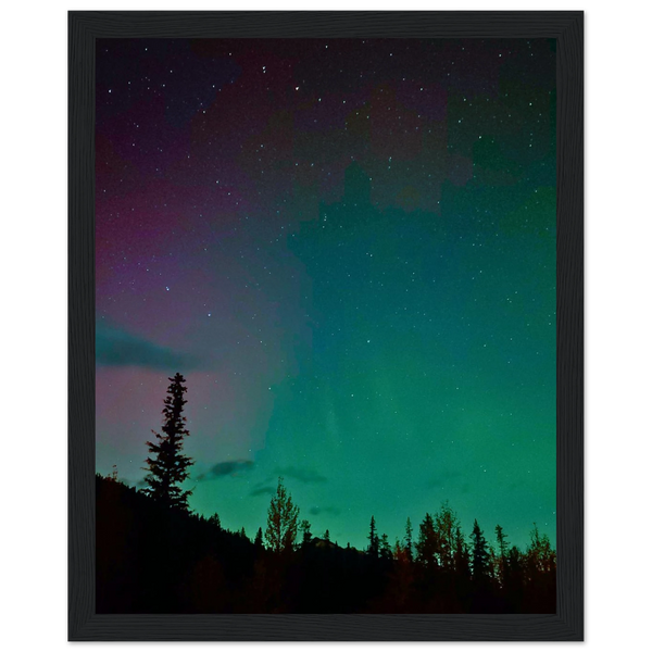 Teal Starry Night Framed Print – Emerald Night Sky Wall Art — aurora borealis over a pine tree silhouette