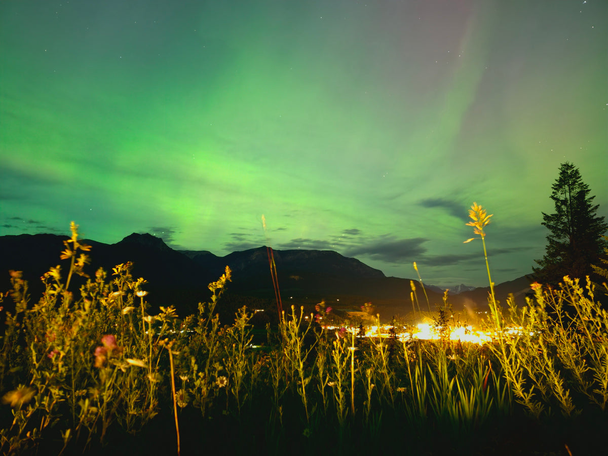 Northern lights in vibrant green and yellow hues dancing across a night sky above dark mountains and a field of glowing wildflowers.