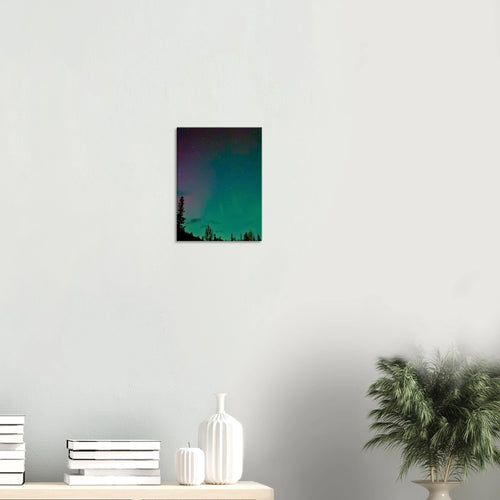 Teal Starry Night Canvas Print – Northern Lights Wall Art — aurora borealis over a dark pine tree silhouette