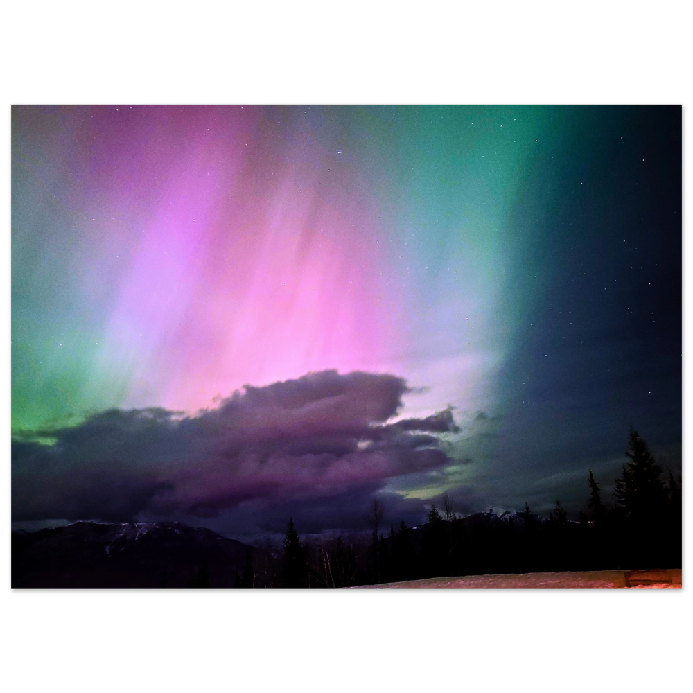 594d29ae-729f-4b94-aa61-5dbb81151459