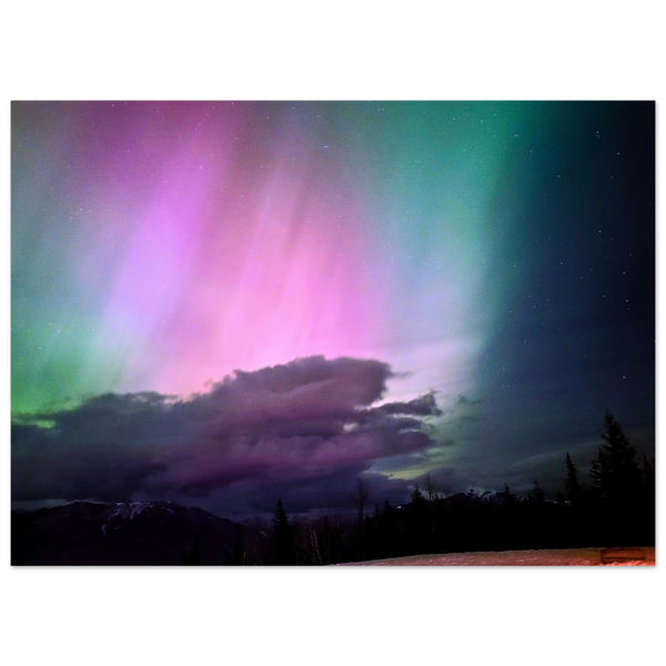 594d29ae-729f-4b94-aa61-5dbb81151459