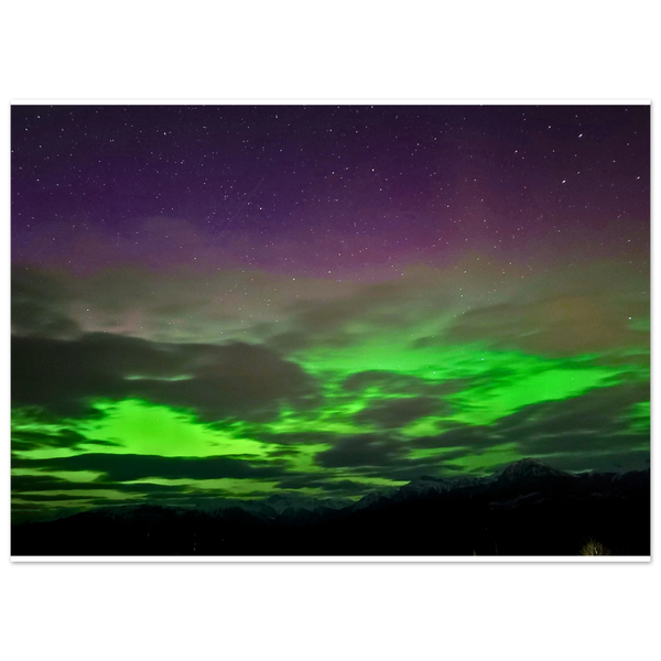 6053626f-fa37-4b31-8306-259eed5c85c6