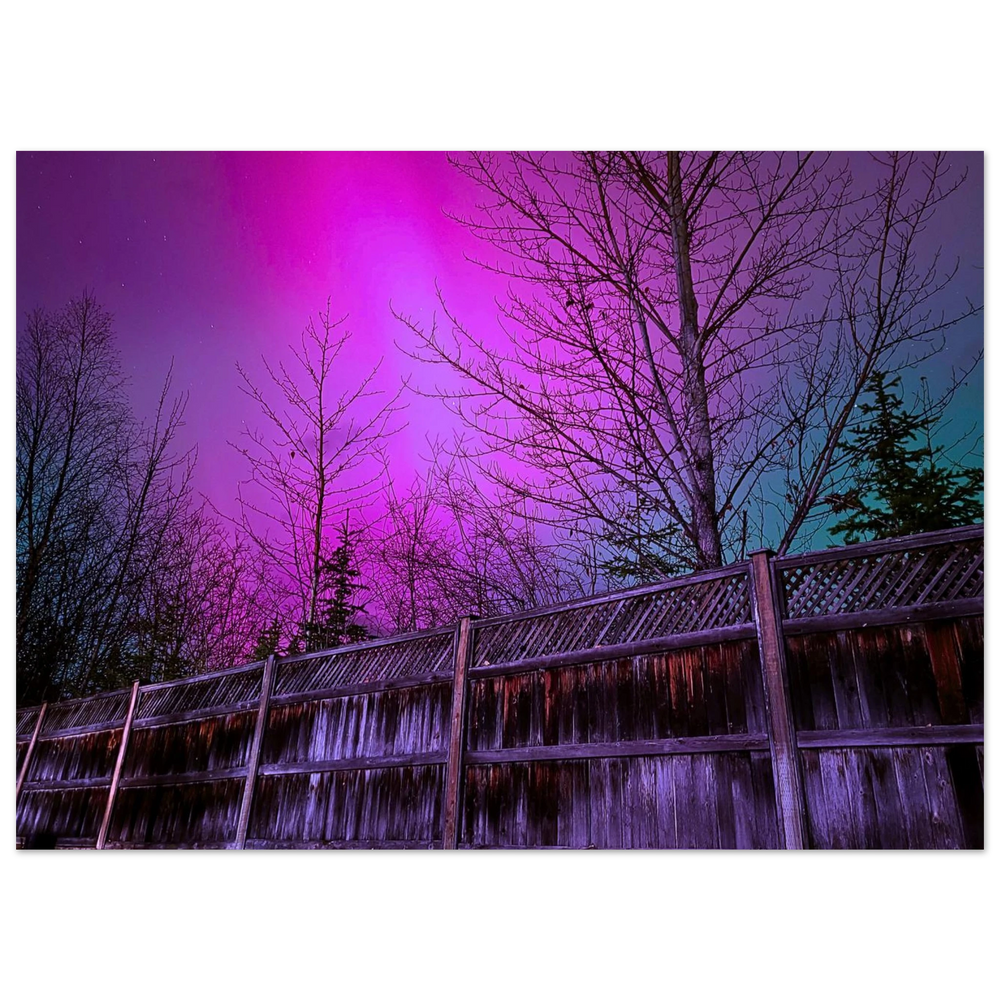 79a0d9c8-4ff2-4e3f-9fcc-bf4ad9654442