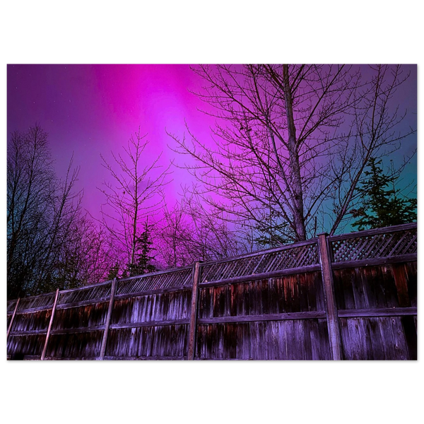 79a0d9c8-4ff2-4e3f-9fcc-bf4ad9654442