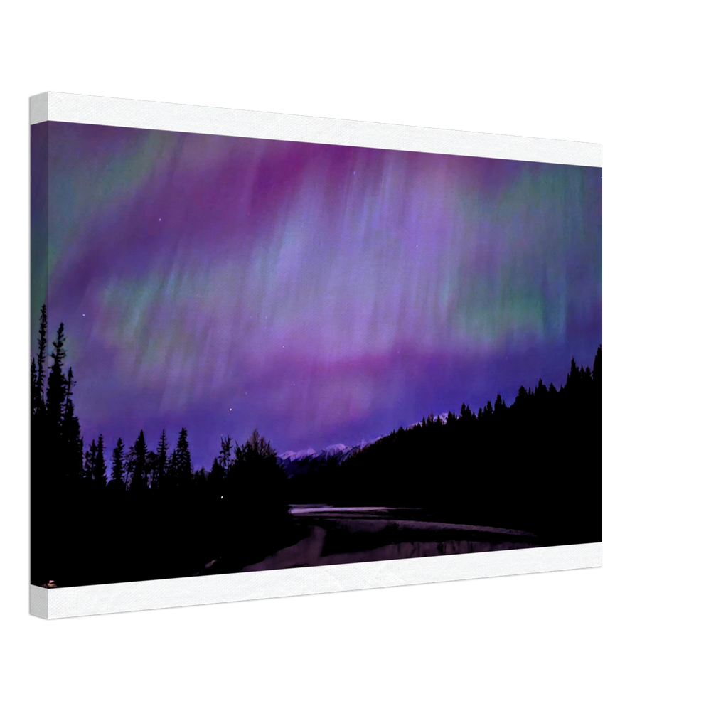 Purple Starry Forest Canvas Print – Northern Lights Wall Art — aurora borealis over a starlit forest