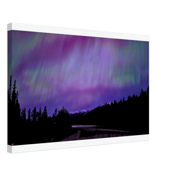 Purple Starry Forest Canvas Print – Northern Lights Wall Art — aurora borealis over a starlit forest