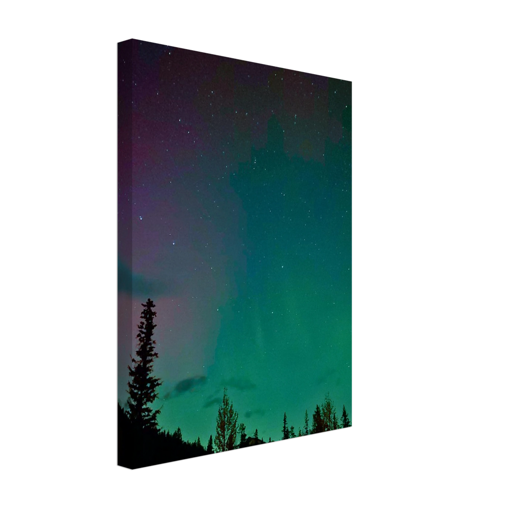 Teal Starry Night Canvas Print – Northern Lights Wall Art — aurora borealis over a dark pine tree silhouette