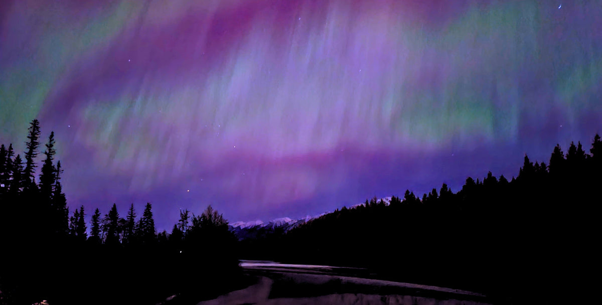 Northern lights over a forested landscape, with purple and green aurora borealis glowing above a dark silhouetted road and pine trees.