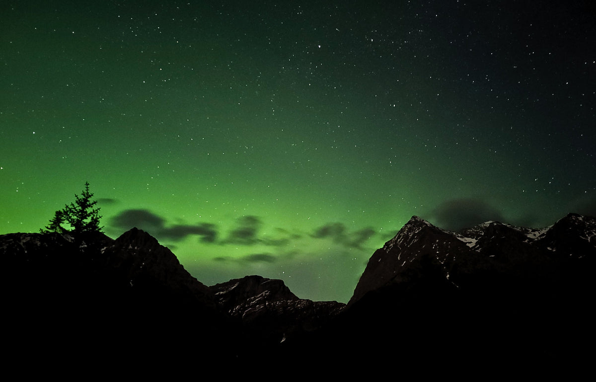 A scenic night photograph showing a starry sky filled with green aurora borealis and a dark mountain silhouette with a lone pine tree on the left.