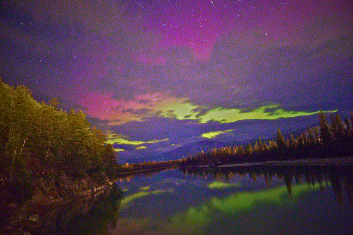 Northern lights over a calm lake with dark tree-lined shores under a starry night sky, showing purple, pink, and green aurora reflections in the water.