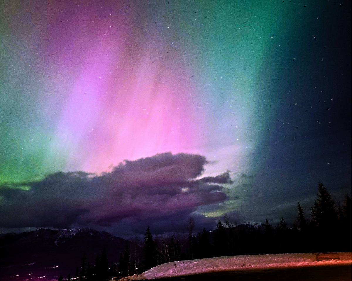 A night sky filled with vivid aurora borealis in green, pink, and purple tones above a dark silhouetted landscape with trees and mountains.