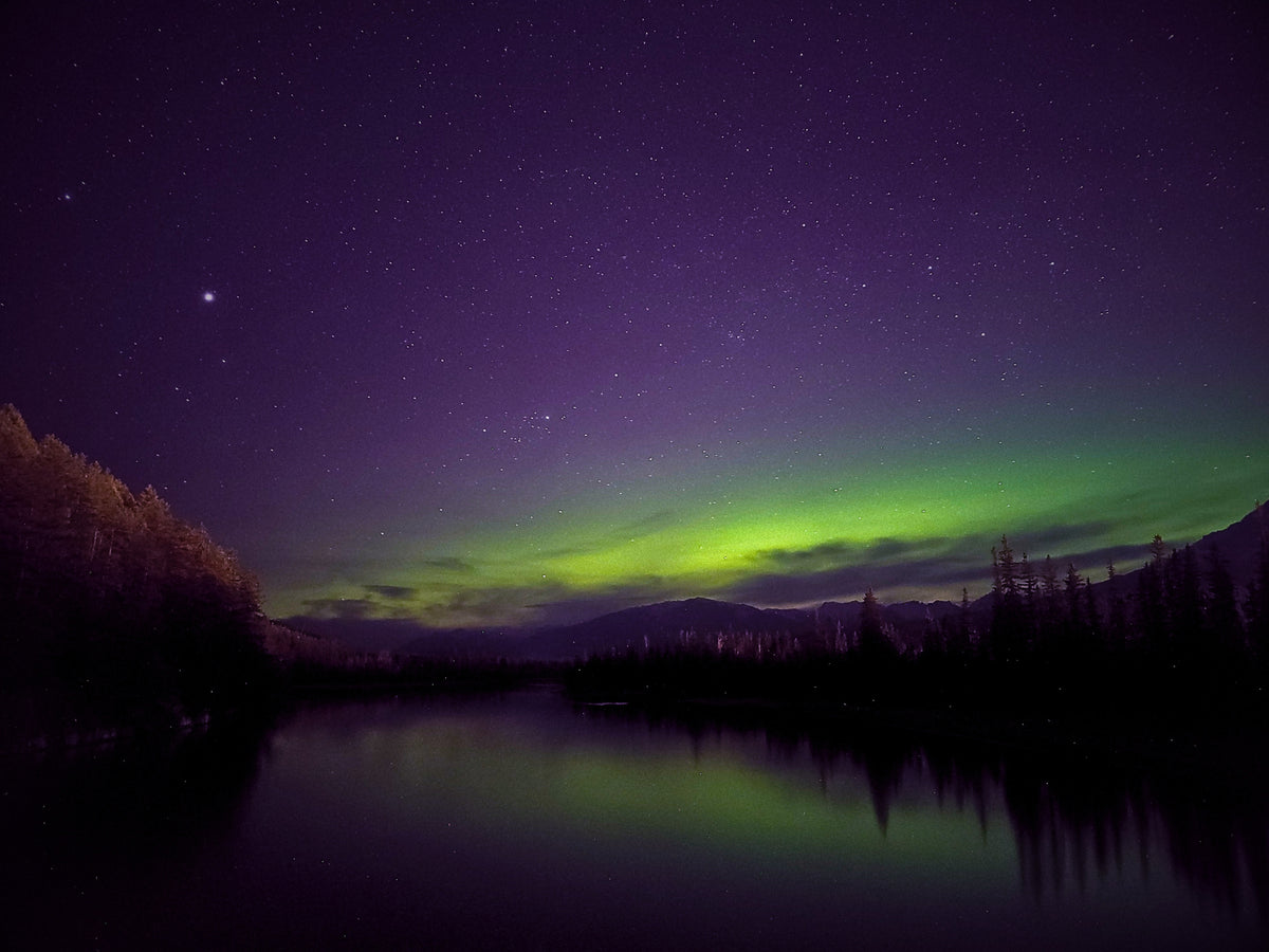 A starry night sky filled with the green aurora borealis glowing over a dark mountain range and reflective lake, with silhouetted trees along the shoreline.