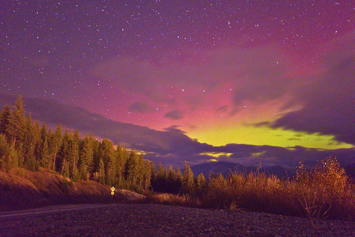 A scenic landscape photograph of the aurora borealis over mountains and a forest, with a starry night sky in purple, pink, and green hues.