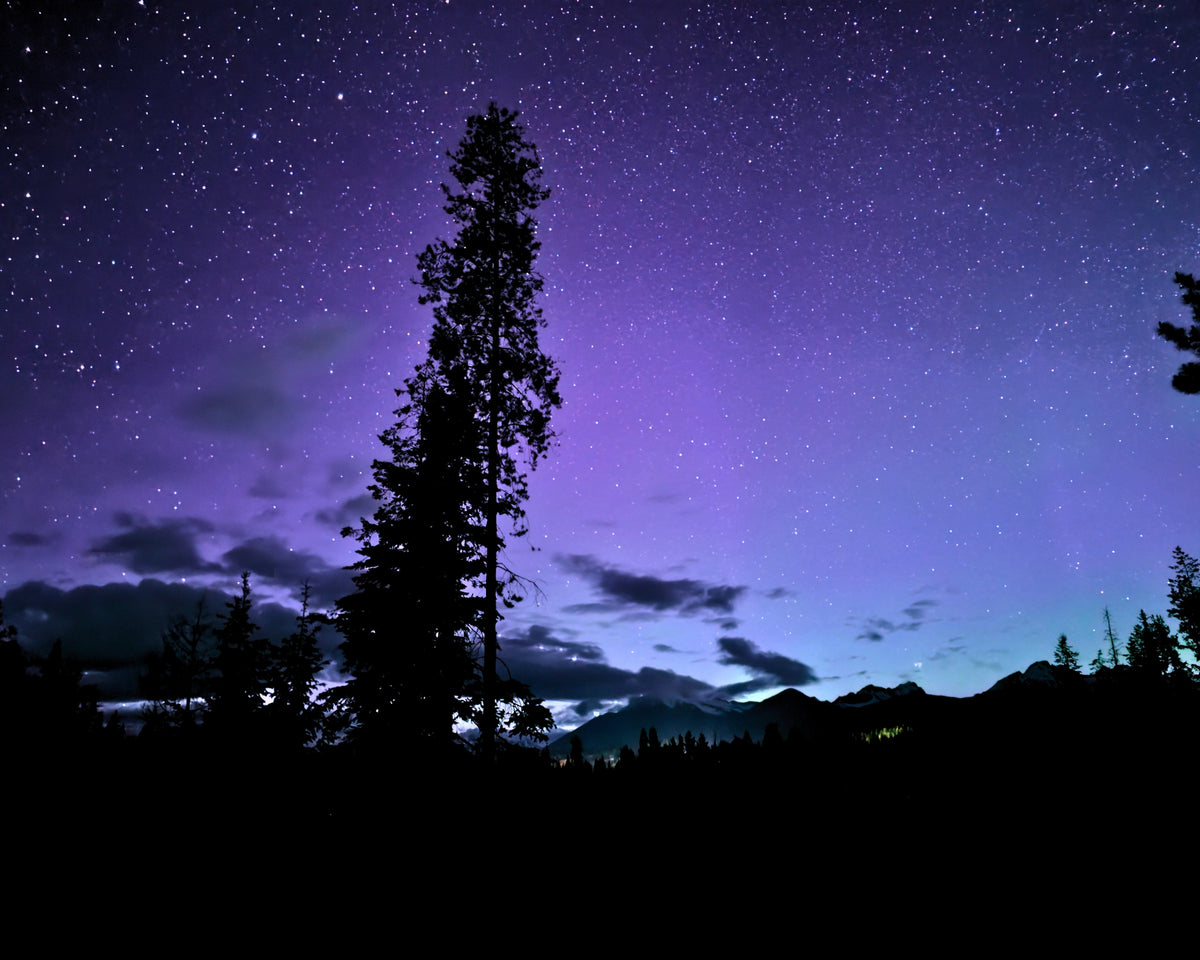 A starry night sky with a purple and blue gradient, silhouetted pine trees and dark mountains along the bottom.