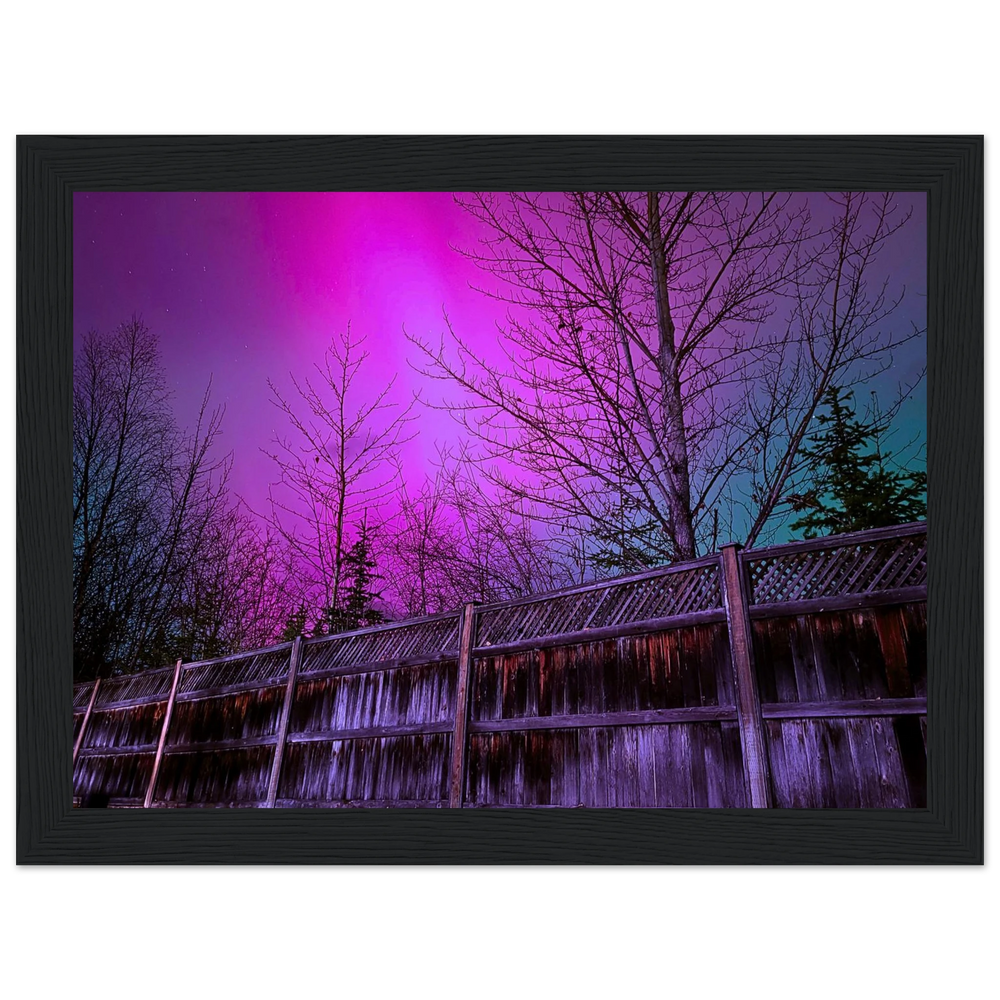 Purple Starry Forest Framed Print – Northern Lights Wall Art — aurora borealis over a starry forest