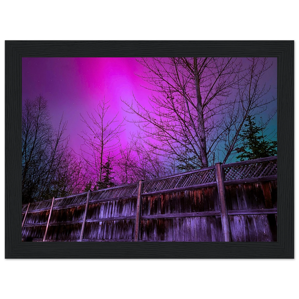 Purple Starry Forest Framed Print – Northern Lights Wall Art — aurora borealis over a starry forest
